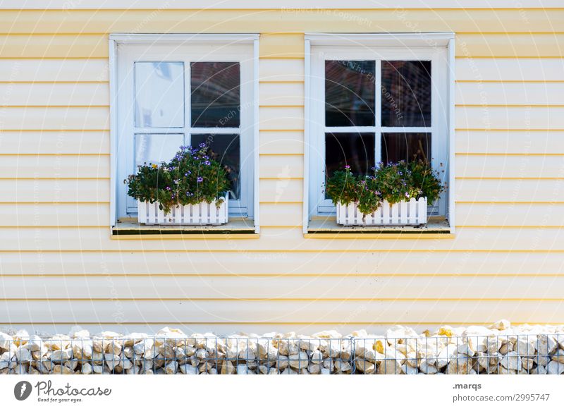 Fenster Häusliches Leben Wohnung Haus Hausbau Umzug (Wohnungswechsel) Fassade hell modern gelb weiß Blume Blumenkasten 2 Farbfoto Außenaufnahme Menschenleer