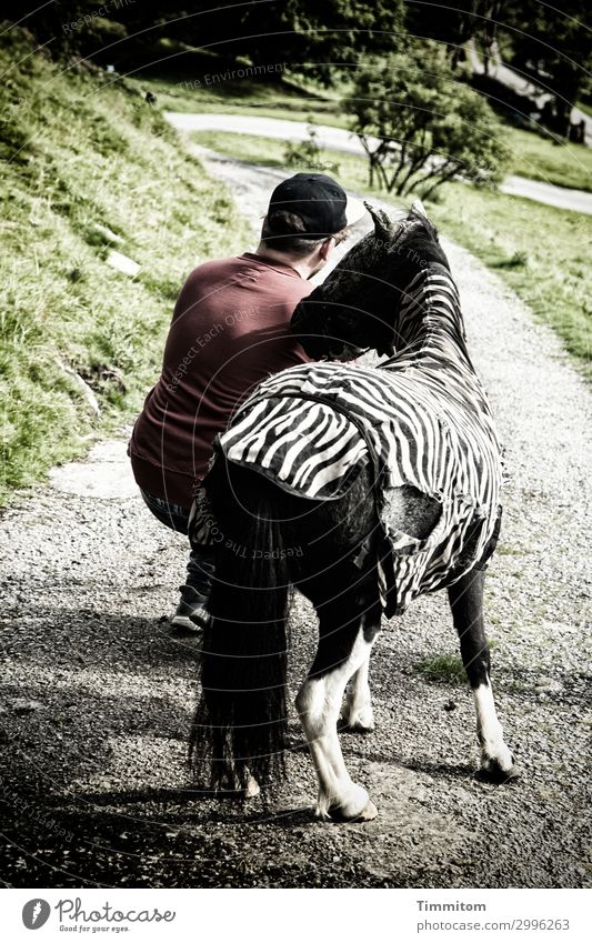 What The Hell Are You Doing? Ferien & Urlaub & Reisen maskulin 1 Mensch Umwelt Gras Sträucher Park Großbritannien Yorkshire Wege & Pfade Mütze Pferd Ponys Tier