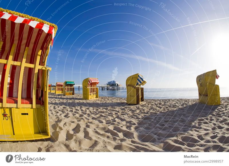 Strandkörbe in der Morgensonne Sommer Sand genießen Kommunizieren schlafen Schwimmen & Baden Spielen tauchen Zufriedenheit Ferien & Urlaub & Reisen
