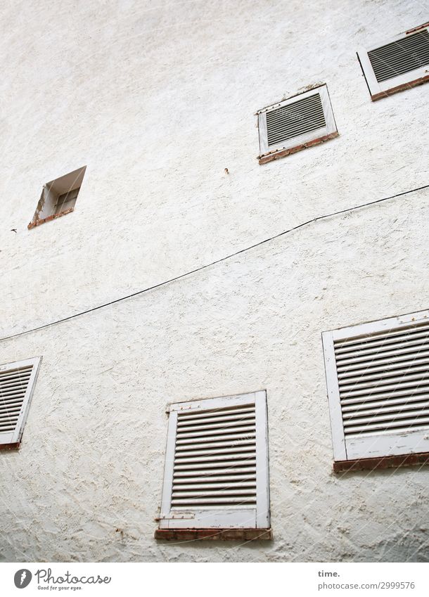 immer an der Wand lang, dann hoch und wieder zurück Haus Bauwerk Gebäude Architektur Mauer Fenster Fensterladen gruselig grau Sicherheit Ausdauer bescheiden