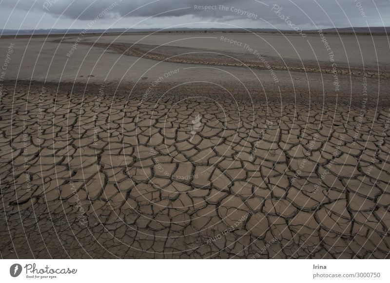 Dürre Umwelt Natur Landschaft Urelemente Erde Sand Klima Klimawandel Wüste Gobi Mongolei Sorge Durst Erschöpfung Zukunftsangst Desaster Endzeitstimmung