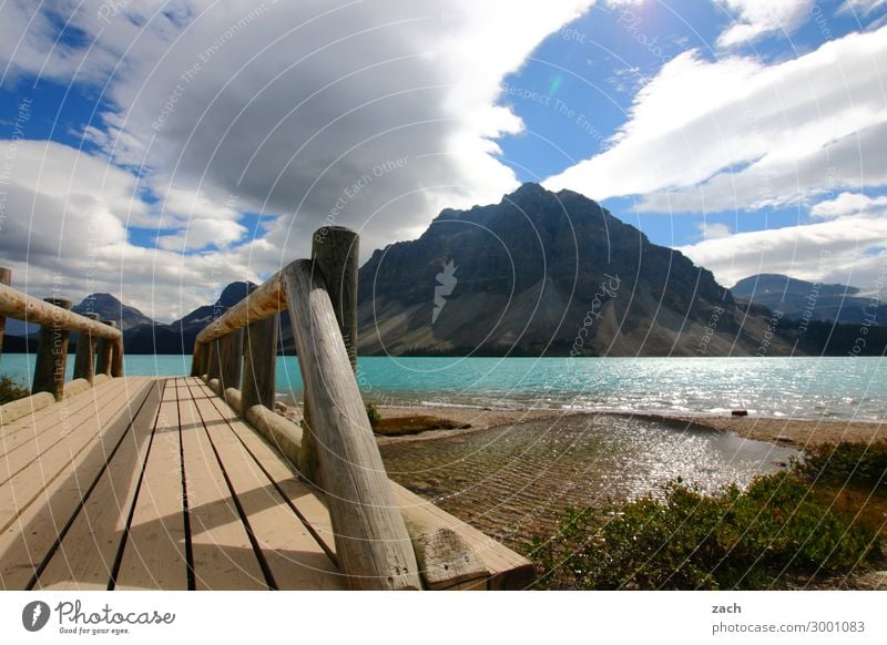 Bow Lake Natur Landschaft Wasser Himmel Wolken Schönes Wetter Pflanze Sträucher Hügel Felsen Berge u. Gebirge Rocky Mountains Gipfel Seeufer Bow lake Kanada