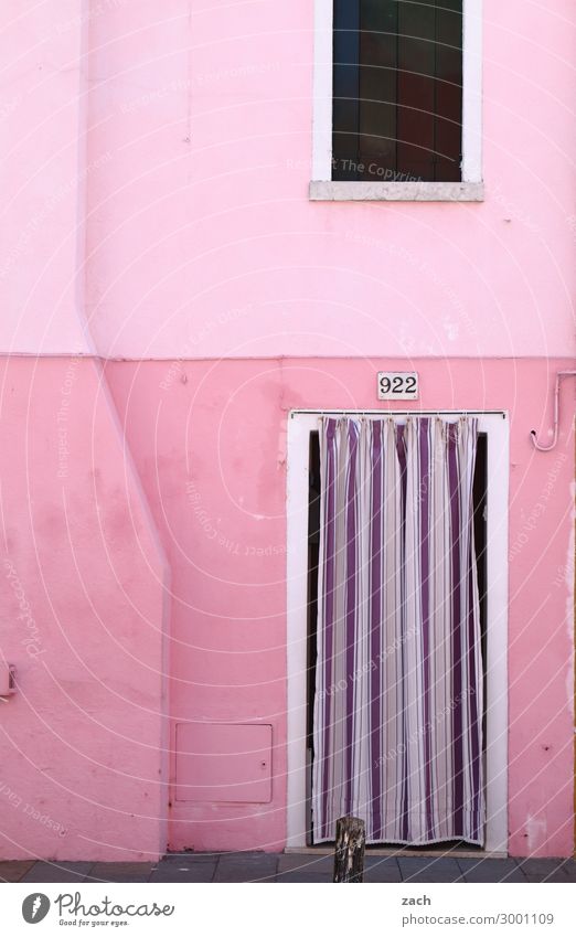 pink Häusliches Leben Haus Venedig Burano Italien Fischerdorf Altstadt Mauer Wand Fassade Fenster Tür Holz violett rosa Vorhang Farbfoto Außenaufnahme