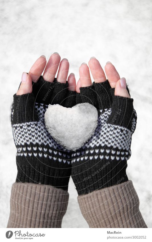 Schneeherz in der Hand Spielen Winter Mensch Frau Erwachsene Handschuhe Herz Liebe kalt Sauberkeit weiß Gefühle herzförmig Finger haltend Farbfoto Außenaufnahme