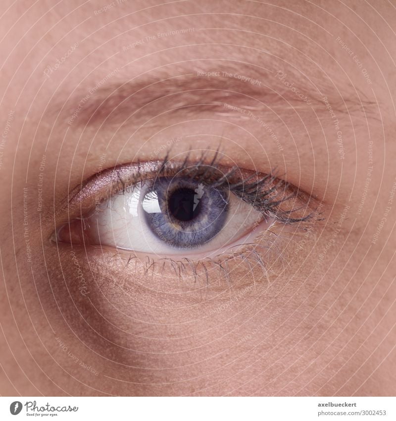 weibliches blaues Auge schön Kosmetik Schminke Wimperntusche Gesundheit Mensch feminin Junge Frau Jugendliche Erwachsene 1 18-30 Jahre Blick blaue augen