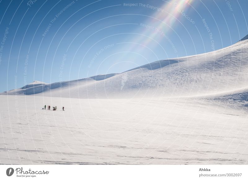 Gruppe von Skifahrern in Gletscherlandschaft Ferien & Urlaub & Reisen Abenteuer Menschengruppe Natur Landschaft Urelemente Wolkenloser Himmel Winter