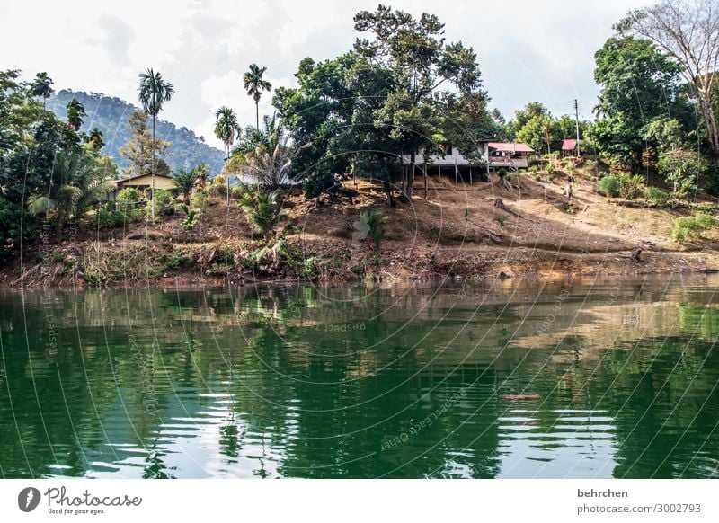 borneo Idylle Fernweh ruhig Iban Sarawak Borneo Malaysia Asien fantastisch exotisch Fluss Flussufer Urwald Landschaft Abenteuer Ferien & Urlaub & Reisen Ferne