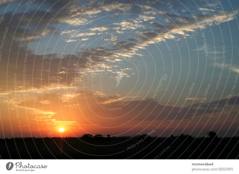 Wolkenmuster bei Sonnenaufgang Design Natur Himmel blau weiß Tagesanbruch orange spektakulär dramatisch aufregend horizontal Muster Morgendämmerung