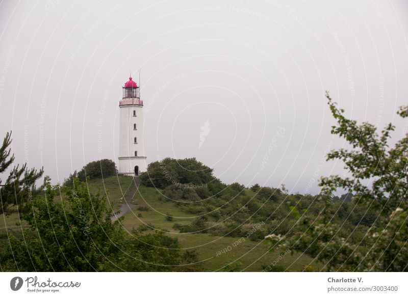Isolation | im Elfenbeinturm Insel Natur Landschaft Sommer Hügel Küste Ostsee Hiddensee Turm Leuchtturm Sehenswürdigkeit Leuchtfeuer Dornbusch/Hiddensee