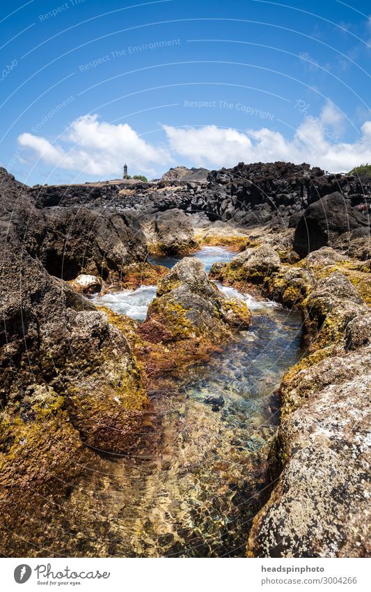 Vulkanische Küstenlandschaft von Faial mit Leuchtturm, Azoren Ferien & Urlaub & Reisen Tourismus Ausflug Sommer Strand Meer Wellen Landschaft Urelemente Wasser