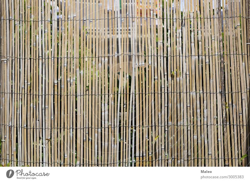 Zaun aus Bambusstöcken Draht Bambusrohr Ast braun Design Detailaufnahme Garten Natur natürlich Muster Stock Tradition Holz abstrakt Barriere Holzbrett Sträucher