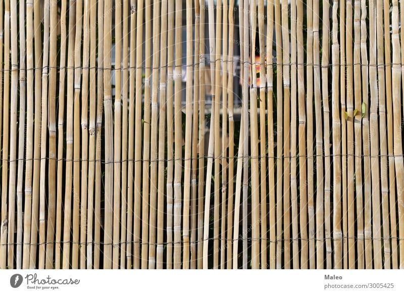 Zaun aus Bambusstöcken Draht Bambusrohr Ast braun Design Detailaufnahme Garten Natur Muster Stock Tradition Holz abstrakt Barriere brett Streichholz Halm Bündel