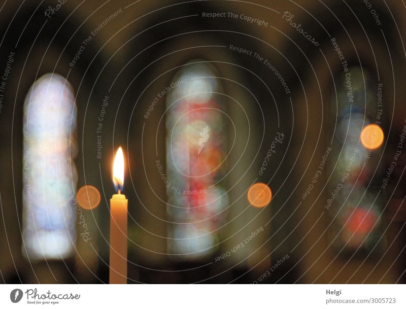 Nahaufnahme einer brennenden Kerze  mit Kirchenfenstern als Bokeh Mauer Wand Fenster Zeichen glänzend leuchten stehen ästhetisch außergewöhnlich einzigartig