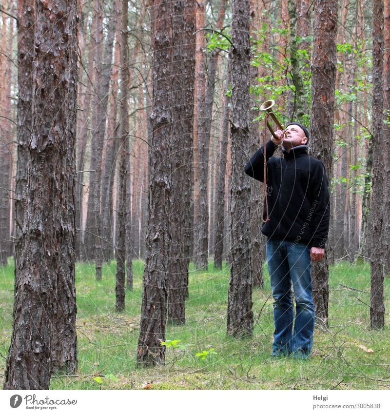 ein Mann in Jeans und schwarzer Jacke steht im Fichtenwald und bläst eine Trompete Mensch maskulin Erwachsene 1 45-60 Jahre Umwelt Natur Landschaft Pflanze Baum