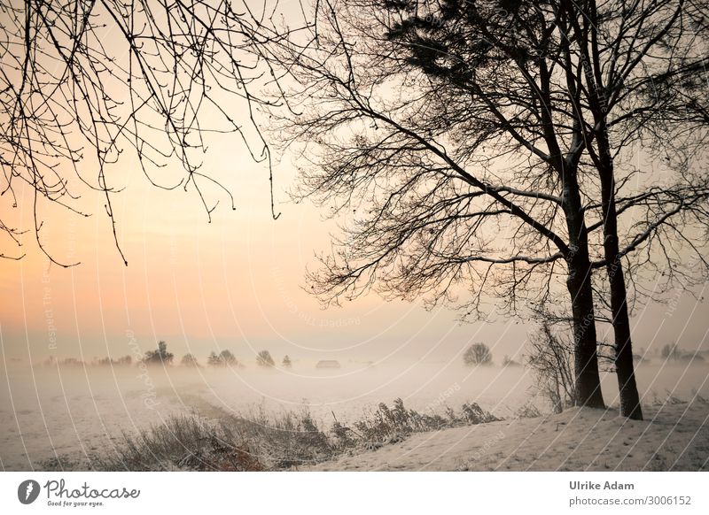 Winter im Teufelsmoor Wellness Tapete Trauerkarte Natur Landschaft Sonnenaufgang Sonnenuntergang Schönes Wetter Nebel Eis Frost Schnee Wald Moor Sumpf leuchten