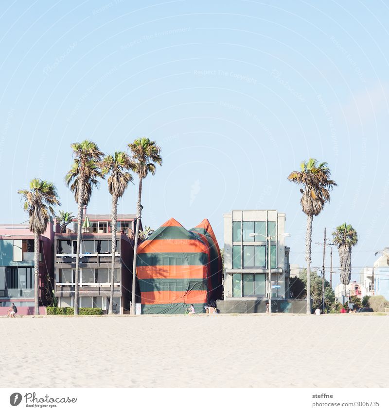 Around the World: Venice Beach Wolkenloser Himmel Schönes Wetter Haus Einfamilienhaus Traumhaus Fassade Erholung Ferien & Urlaub & Reisen Strand Palme
