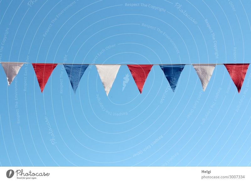 blaue, weiße und rote Fähnchen hängen als Dekoration an einer Schnur vor blauem Himmel Feste & Feiern Stadtfest Wolkenloser Himmel Sommer Schönes Wetter Fahne