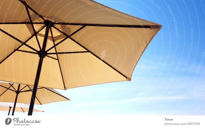 beige Sonnenschirme vor blauem Himmel Sonnenlicht Sommer Klima Klimawandel Schönes Wetter Schutz Ferien & Urlaub & Reisen Wetterschutz Wärme UV-Schutz