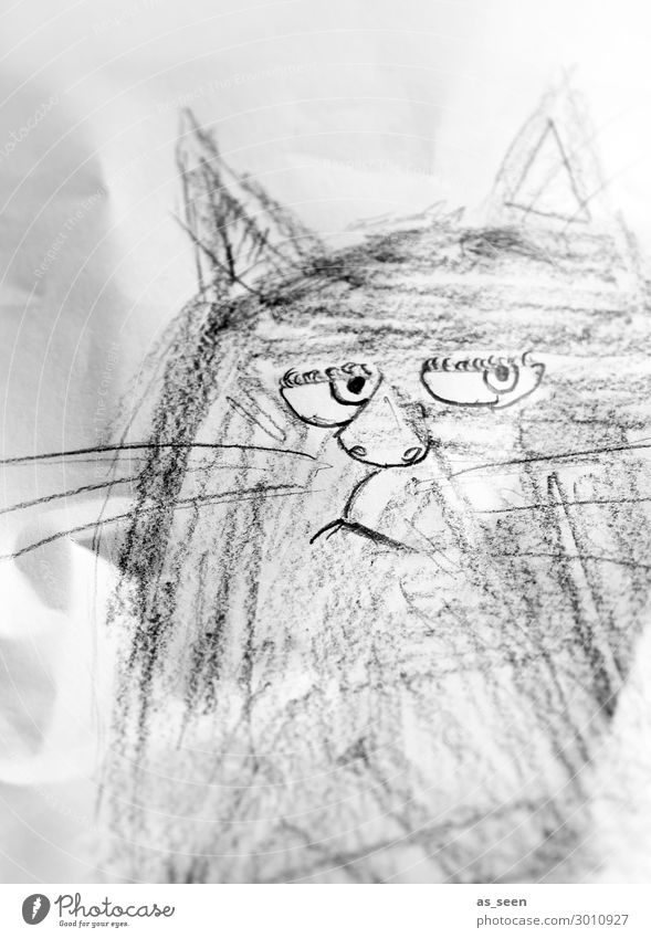Grumpy Cat zeichnen Katze Tiergesicht Schreibwaren Papier Zettel Schreibstift Blick authentisch frech einzigartig listig lustig rebellisch grau schwarz weiß