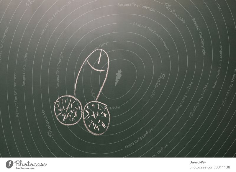 P...s Körper Leben Mensch maskulin Mann Erwachsene Jugendliche Kunst Erotik Penis Genitalsystem Geschlecht Kreide Tafel Zeichnung Schamhaare versaut Sexualität