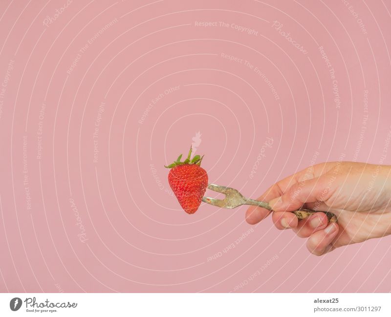 Hand mit Erdbeere und alter Gabel auf rosa Hintergrund Frucht Dessert Diät schön Sommer Mensch Frau Erwachsene Natur frisch lecker saftig grün rot Farbe