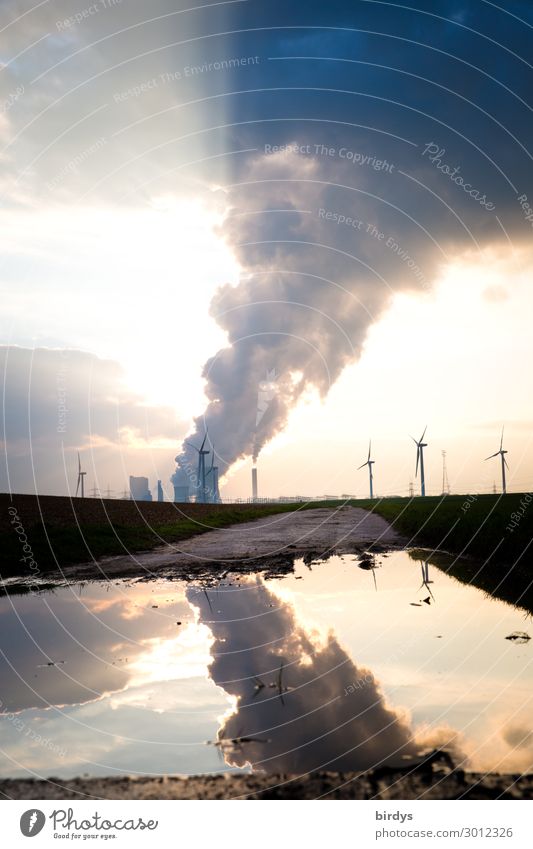 Braunkohlenkraftwerk Niederaußem Energiewirtschaft Erneuerbare Energie Windkraftanlage Kohlekraftwerk Wasser Himmel Wolken CO2 Sonne Klimawandel Pfütze Rauch