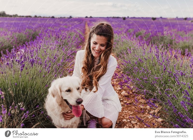 schöne Frau mit ihrem Golden Retriever Dog in Lavendelfeldern Lifestyle Glück harmonisch Erholung Freizeit & Hobby Ferien & Urlaub & Reisen Freiheit Sommer