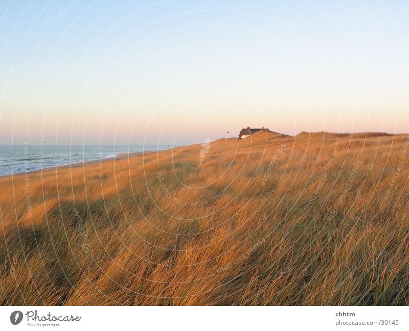 Haus in den Dünen Sylt Abenddämmerung November Meer Einsamkeit Stranddüne Nordsee Ferne