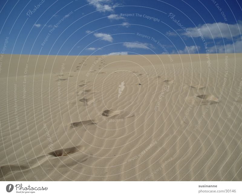 spuren im sand Ferien & Urlaub & Reisen Fuerteventura Sommer Strand Wolken Europa Sand Spuren Stranddüne Himmel