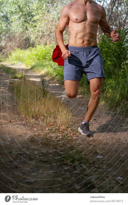 Läufer, der ohne Hemd durch das Feld läuft. Lifestyle Körper Sommer Sport Joggen Mensch Mann Erwachsene Natur Himmel Wege & Pfade Fitness heiß muskulös passen