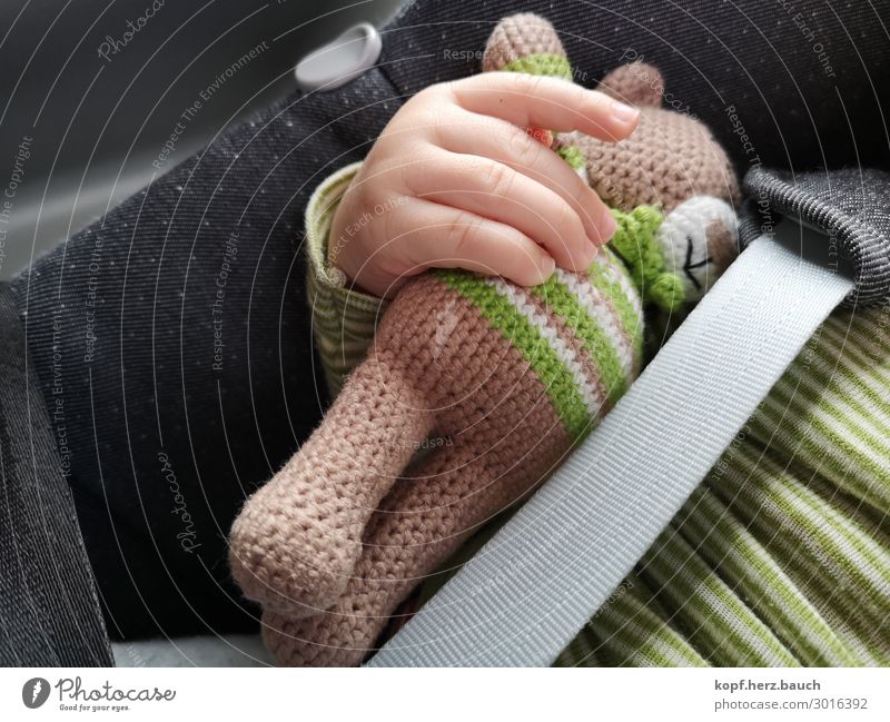T.E.D.D.Y. Baby 1 Mensch 0-12 Monate Autofahren Kindersitz schlafen Zusammensein kuschlig grün Sicherheit Schutz Geborgenheit Tierliebe Verantwortung Abenteuer