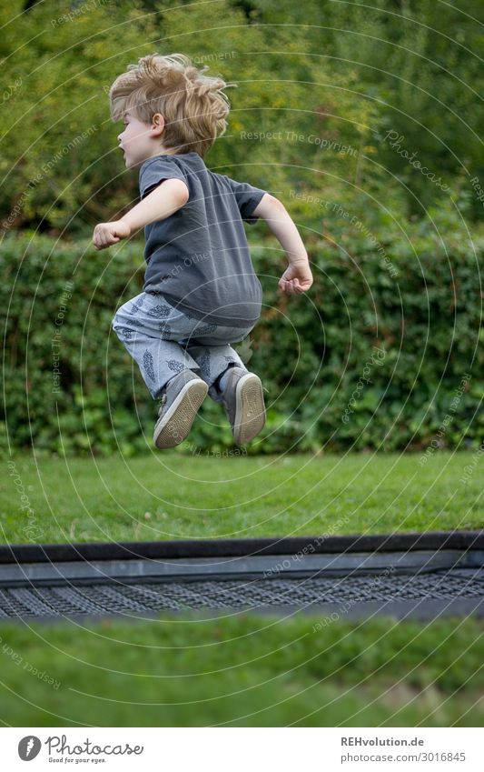 Junge springt auf einem Trampolin Freude Glück Freizeit & Hobby Spielen Fitness Sport-Training Mensch maskulin Kind Kindheit 1 3-8 Jahre Umwelt Natur Wiese Park