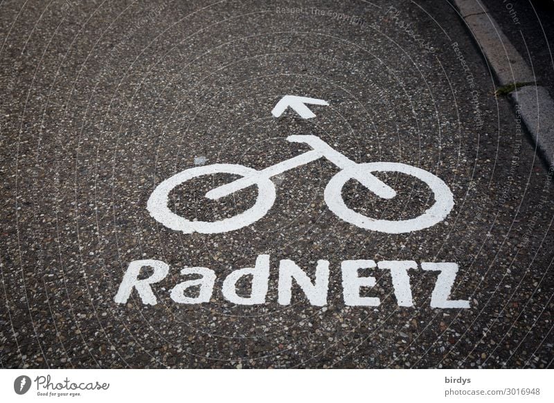 Radwege Fahrradfahren Verkehr Verkehrswege Straße Verkehrszeichen Verkehrsschild Fahrradweg Zeichen Schriftzeichen Pfeil authentisch nachhaltig positiv grau