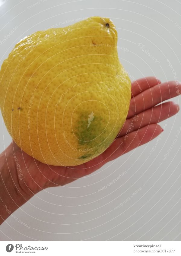 Zitrone Frucht Hand Finger sauer gelb Tag fruchtig Fruchtzucker zitronengelb Zitronensäure Zitronenschale sauer macht lustig zitronengelben Obst biologisch