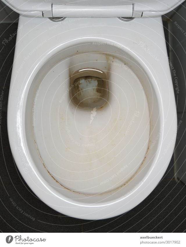 dreckige Toilette Bad Ekel gelb Urin urinstein Fleck Sauberkeit unhygienisch Öffentliche Toilette toilettenschüssel Farbfoto Innenaufnahme Nahaufnahme