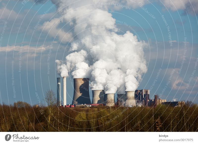 RWE Braunkohlenkraftwerk in NRW Energiewirtschaft Kohlekraftwerk Himmel Wolken Klimawandel Baum Wald CO2 Luftverschmutzung Umweltverschmutzung Industrieanlage