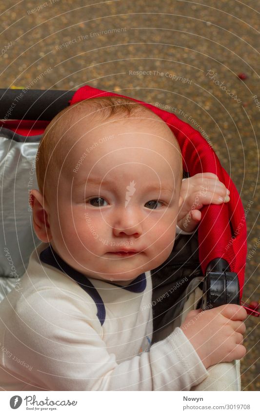 Baby schaut aus einem Buggy Mensch maskulin 1 0-12 Monate beobachten Denken entdecken Erholung fahren genießen Lächeln leuchten Liebe frech Freundlichkeit