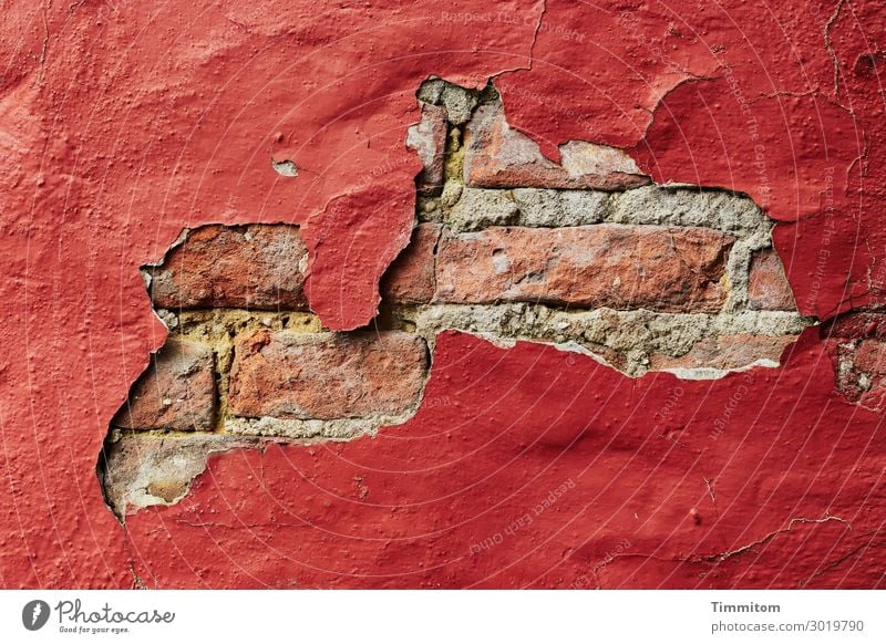 Diese Wand könnte was erzählen! Dänemark Haus Mauer alt authentisch einfach kaputt rot Gefühle Vergänglichkeit Backstein Putz Farbe abblättern
