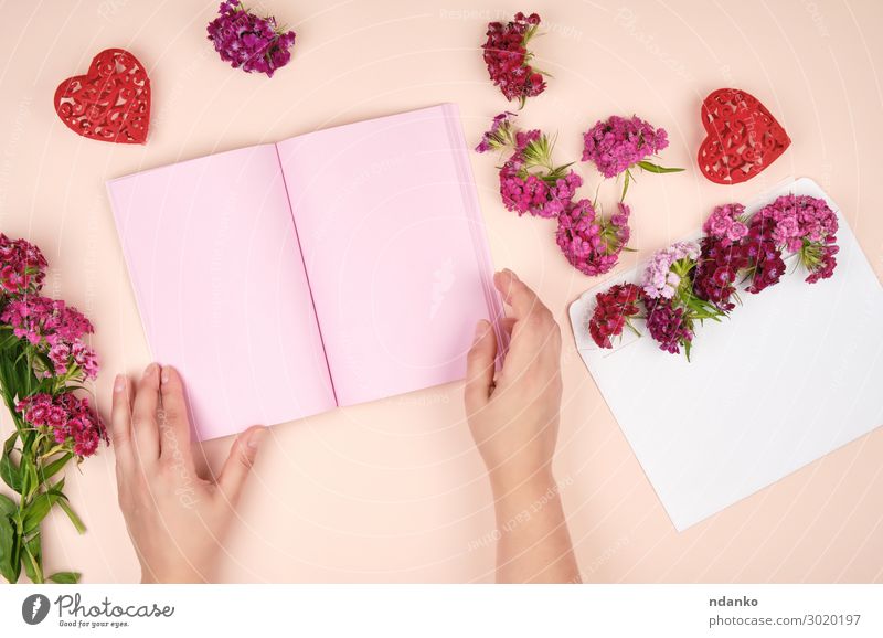 Frauenhände und ein offenes Notizbuch mit rosa Blankoblättern elegant Körper Haut Valentinstag Muttertag Geburtstag Mensch Erwachsene Arme Hand Finger Natur