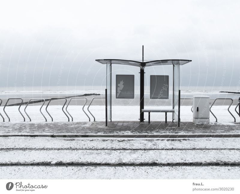 Kusttram Städtereise Strand Meer Winter Schnee Landschaft schlechtes Wetter Küste Nordsee Flandern Belgien Stadt Verkehrsmittel Personenverkehr