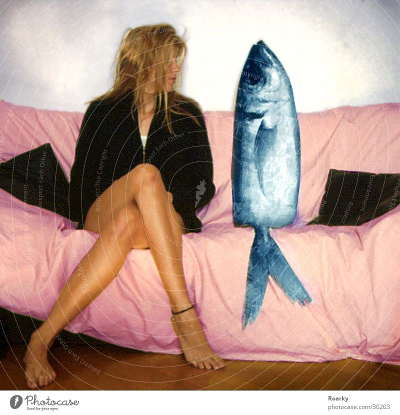 Date mit Fisch Frau Sofa Partner Paar Beine paarweise