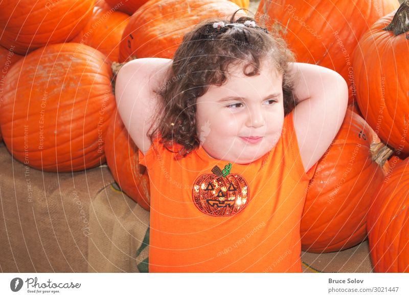 Kind im Kürbispflaster Zufriedenheit Erntedankfest Halloween Mensch feminin Kleinkind Mädchen Gesicht 1 3-8 Jahre Kindheit Veranstaltung Digitalfotografie Datei