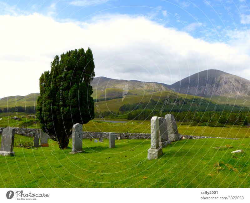 ewige Ruhe... Baum Gras Berge u. Gebirge Highlands Schottland alt Einsamkeit Ewigkeit Trauer Vergangenheit Vergänglichkeit Friedhof Grabstein Mauer ruhig