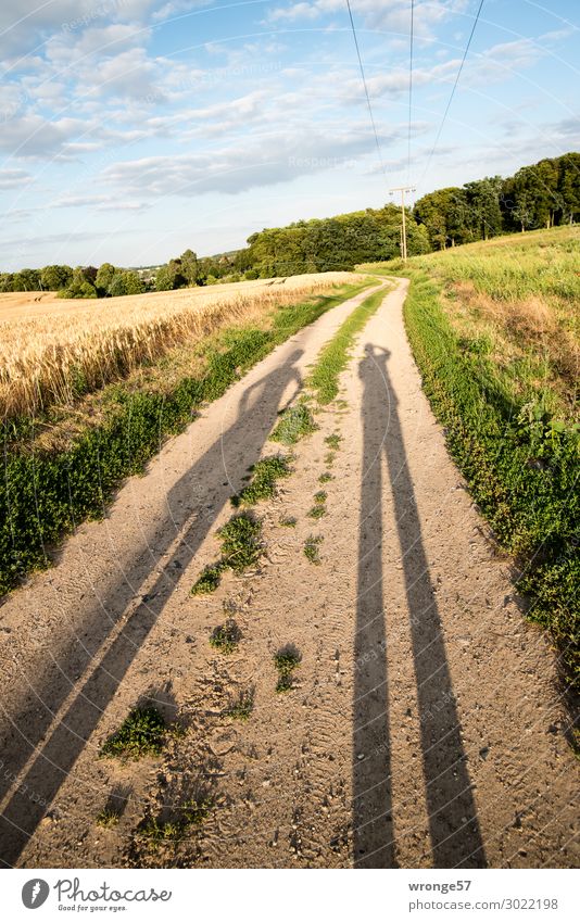 Lange Schatten eines Paares bei tiefstehender Sonne auf einem Feldweg zum Lindenbruch bei Schwaan Landschaft Natur Wolken Himmel Sommer Farbfoto Wiese Gras grün