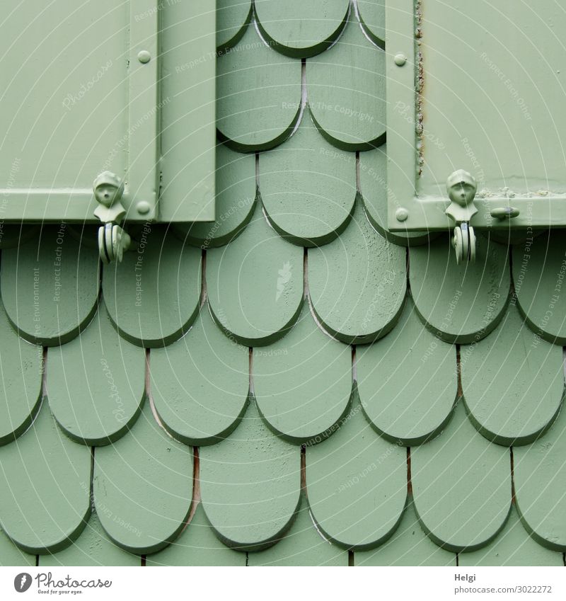 grün angestrichene Holzschindeln und Fensterläden mit Figuren an der Fassade eines Hauses Fensterladen Schindeldach Metall Linie festhalten Häusliches Leben