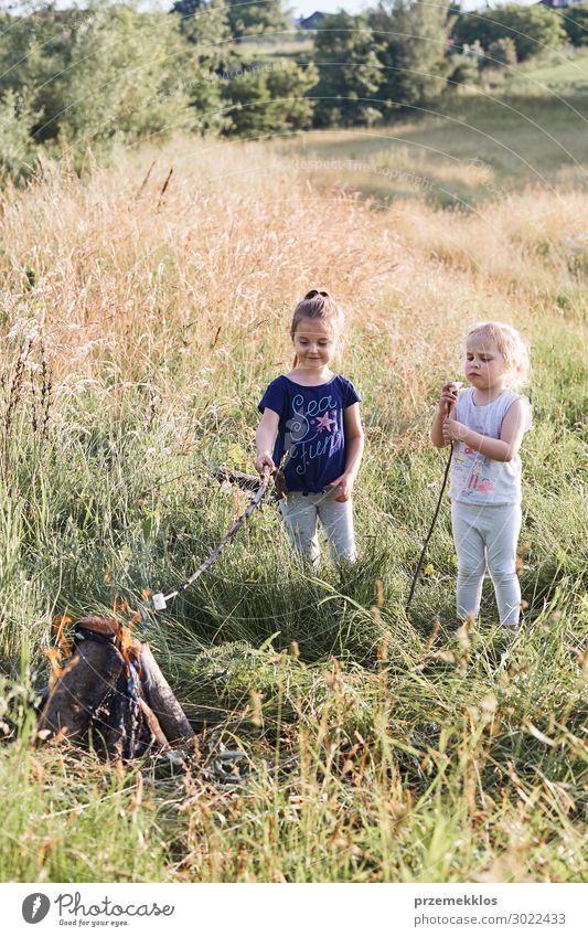 Kleine Mädchen, die Marshmallows über einem Lagerfeuer braten. Lifestyle Freude Glück Erholung Ferien & Urlaub & Reisen Sommer Sommerurlaub Kind Mensch Frau