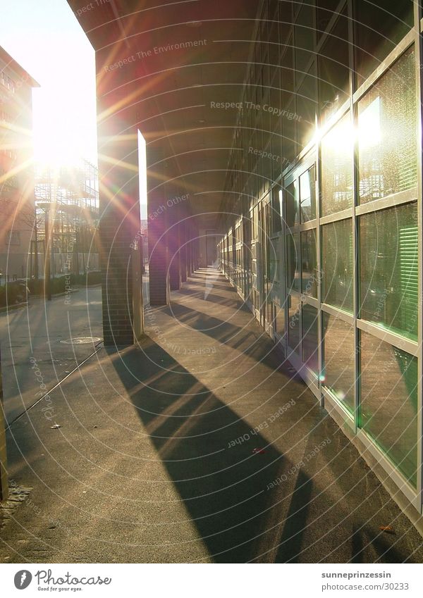 lichtweg Reflexion & Spiegelung Licht Fenster glänzend Architektur Sonne Glas Schatten Gang