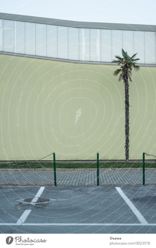 Palme vor Fassade Gebäude Parkplatz Außenaufnahme Architektur Bauwerk Farbfoto Menschenleer Fenster Himmel trist Wand grau Pflanze mediterran Gedeckte Farben