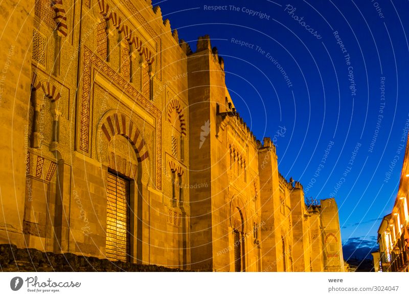 Illuminated facade of the Mezquita in Cordoba at the Blue Hour Spanien Europa Palast Gebäude Fassade alt authentisch gold Andalusia Historic facades Holiday