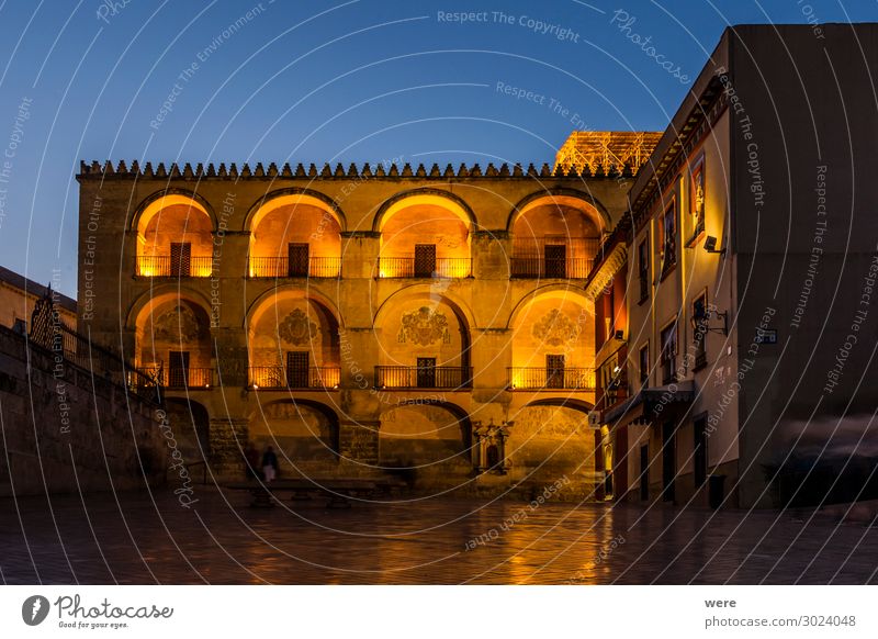 Illuminated facade of the Mezquita in Cordoba Bauwerk Gebäude Fassade Sehenswürdigkeit alt Andalusia Historic facades Holiday Roman bridge Spain blue hour